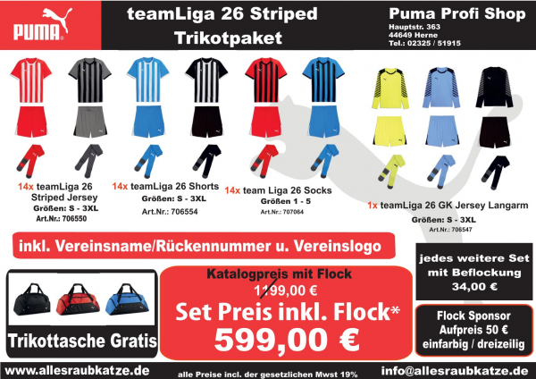 PUMA teamLiga26 Striped Trikotsatz